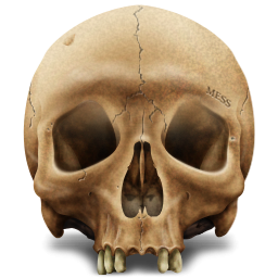 Skull Human Icon, PNG ClipArt Image | IconBug.com