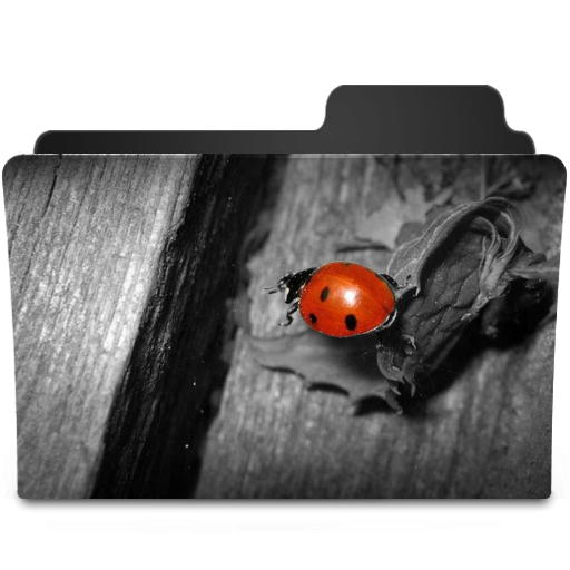 ladybug PNG image transparent image download, size: 256x256px