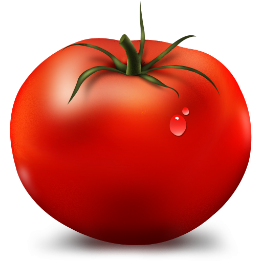 tomato plant clip art - photo #45