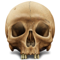 Skull Human Icon Png Clipart Image Iconbug Com