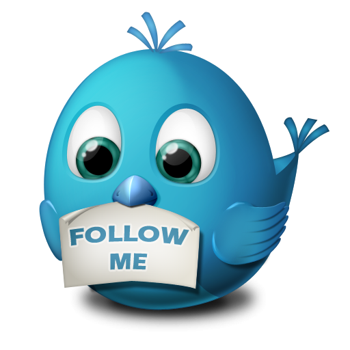 follow me icon