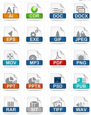 File Formats