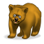 funny-bear